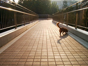 なんか匂いがするぞ