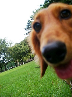 僕のアップだよ