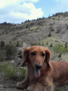 大菩薩までもう少し