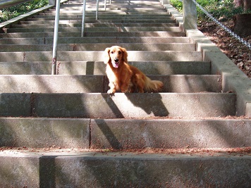 待ってるから早く来てね♪