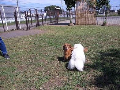 気に入っちゃったよ